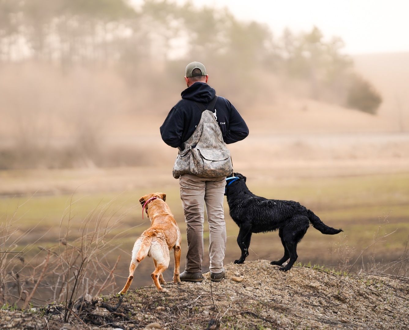 Professional handler with dogs overlooking misty valley at Carlson Canine Camp