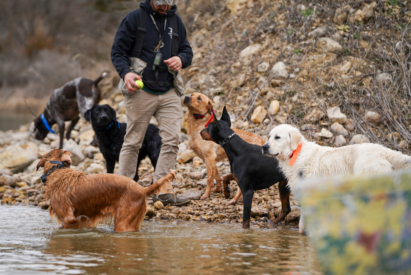 Real-World Obedience