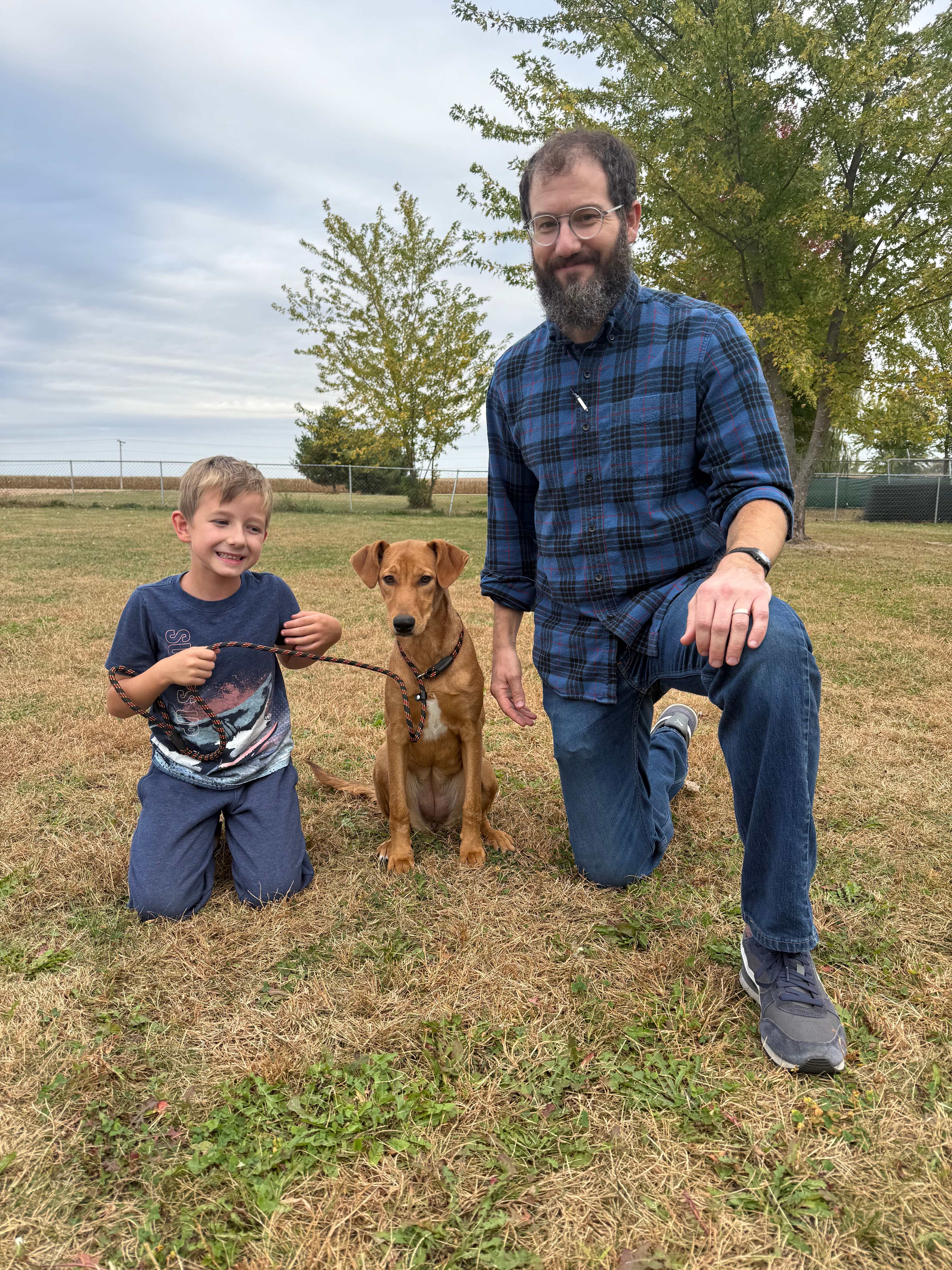 Ginger - Retriever Mix